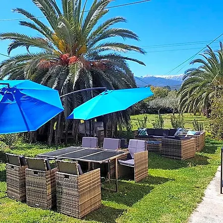 Hotel Palma Piscine Chauffee A 1 Km De La