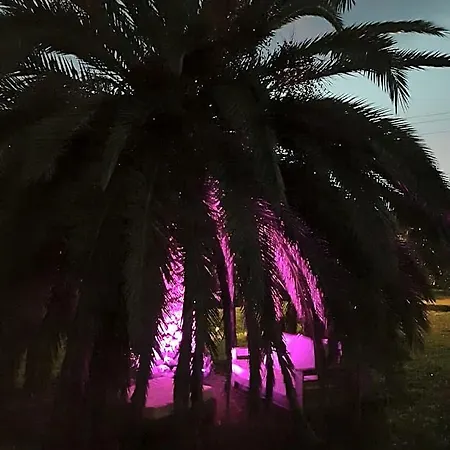Palma Piscine Chauffee A 1 Km De La 4* Solaro