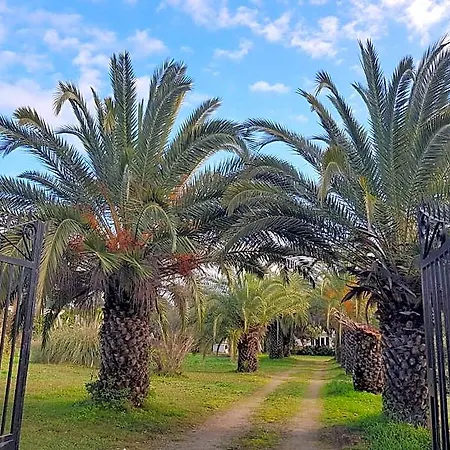 Palma Piscine Chauffee A 1 Km De La Solaro